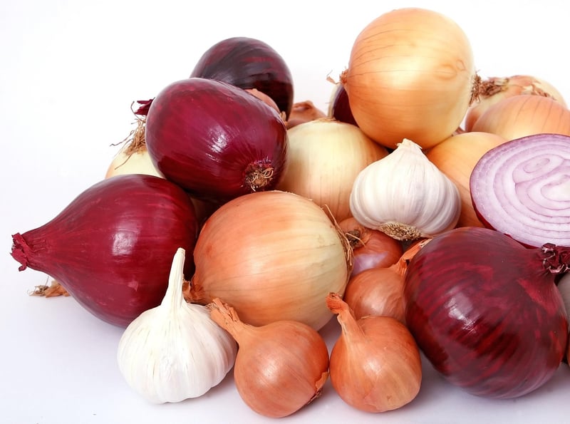 Plant-Based Ingredients